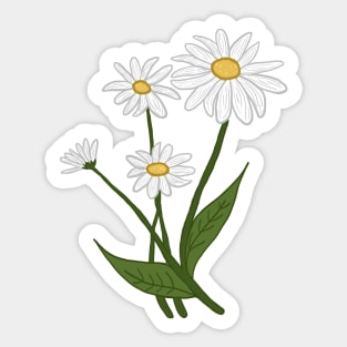 picking daisies Sticker